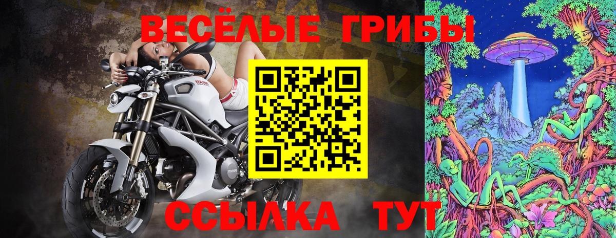 Псилоцибиновые грибы мицелий Борзя